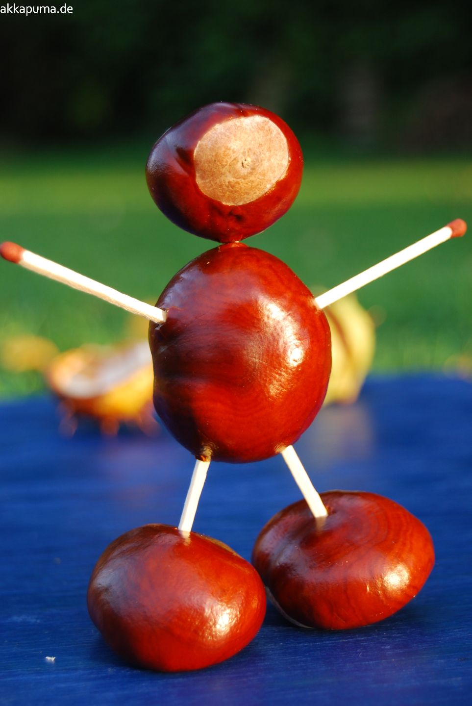 Kastanienmännchen 2008